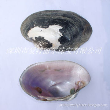 Pink Shell